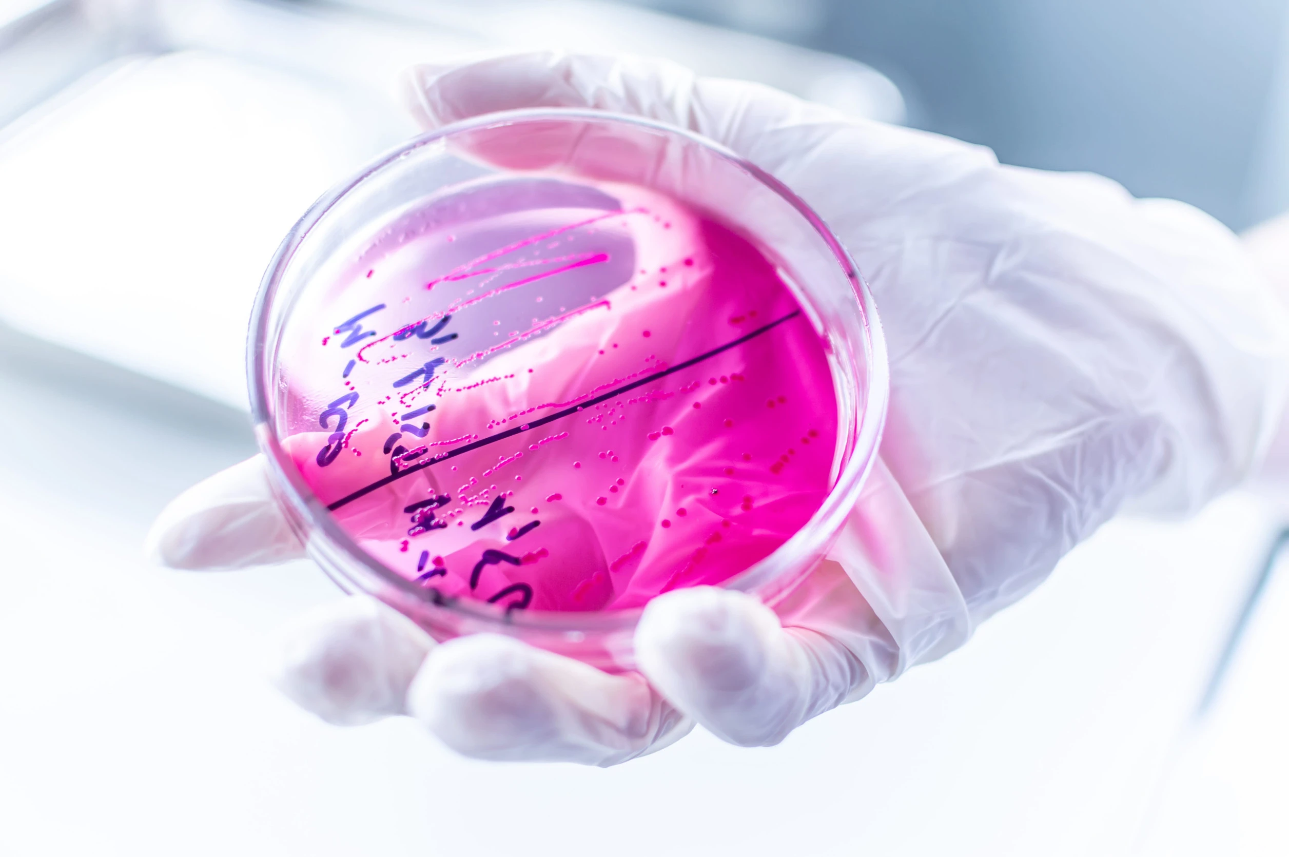 Pharmatrends früher erkennen mit KI-gestützter Newsanalyse